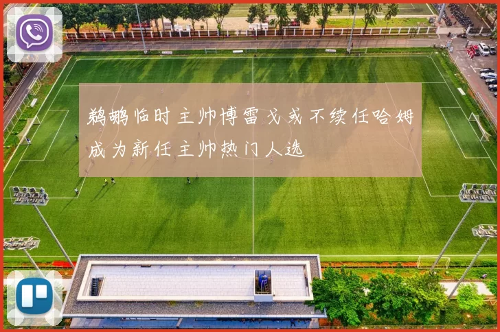 鹈鹕临时主帅博雷戈或不续任哈姆成为新任主帅热门人选